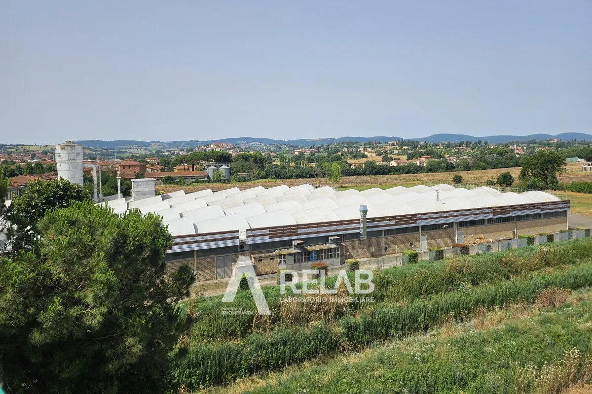 Capannone industriale in vendita, 7000 mq, Torrita di Siena (SI)